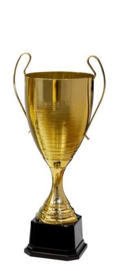 Pokal Gold H584mm