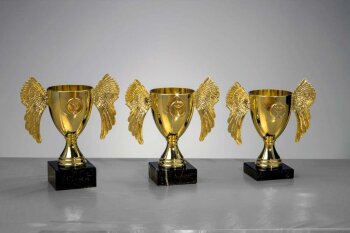 3er Pokalserie Gold Wing-Cup