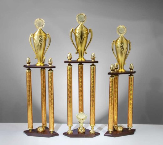 3er Säulen-Pokalserie Gold Ohio
