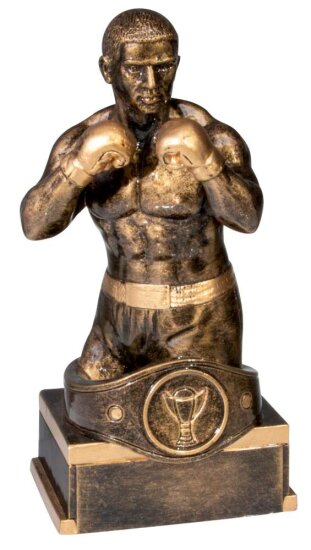 Box-Champion Resin-Pokal, Gold