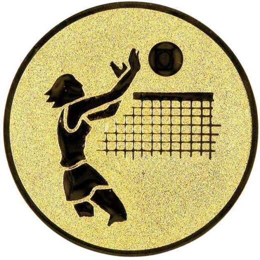 Volleyball-Damen